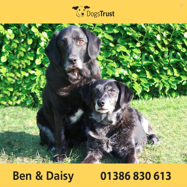 Screen Shot 2016-01-26 at 18.33.10.png