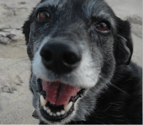 Screen Shot 2016-01-26 at 18.52.16